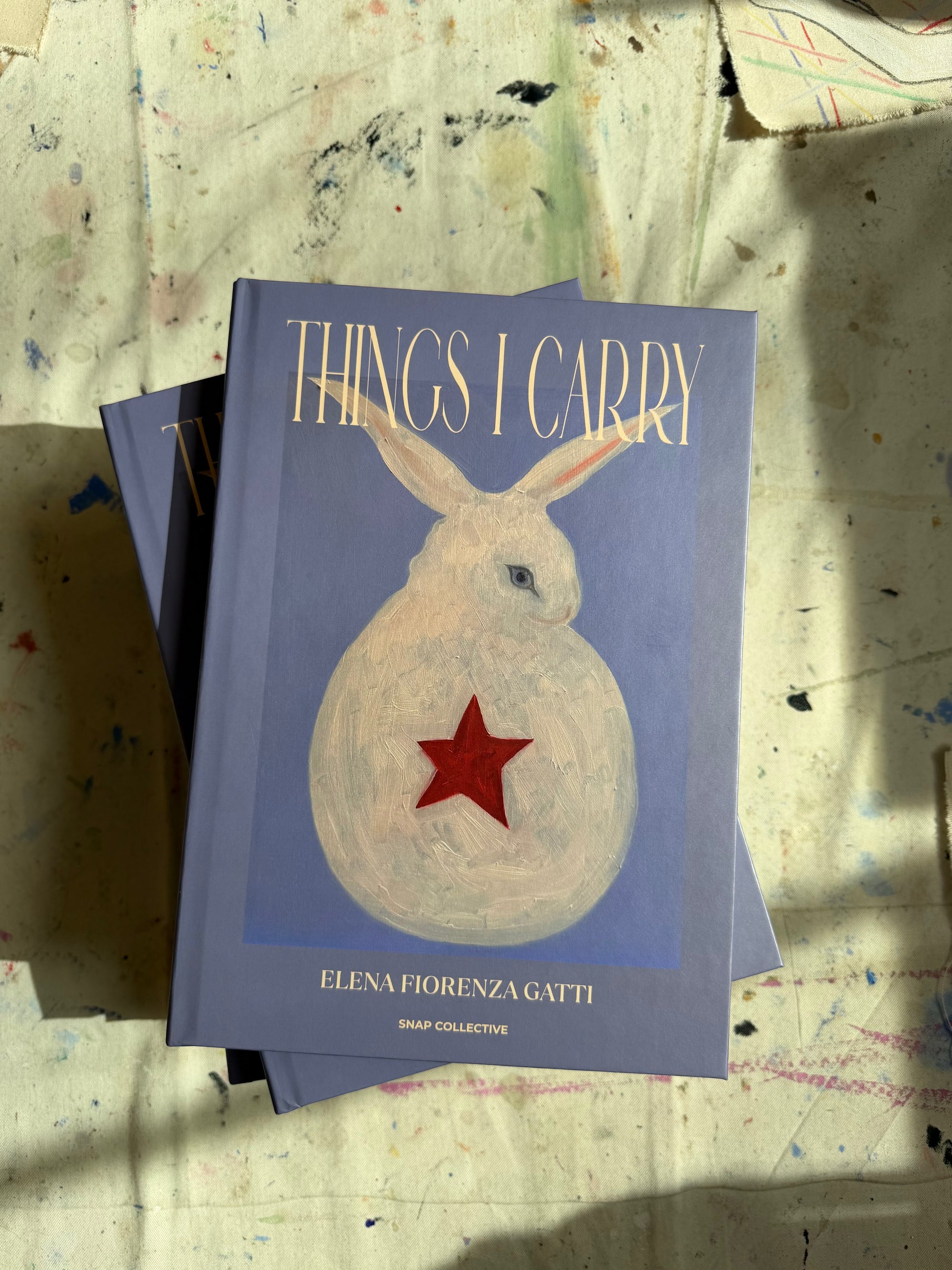 things i carry book