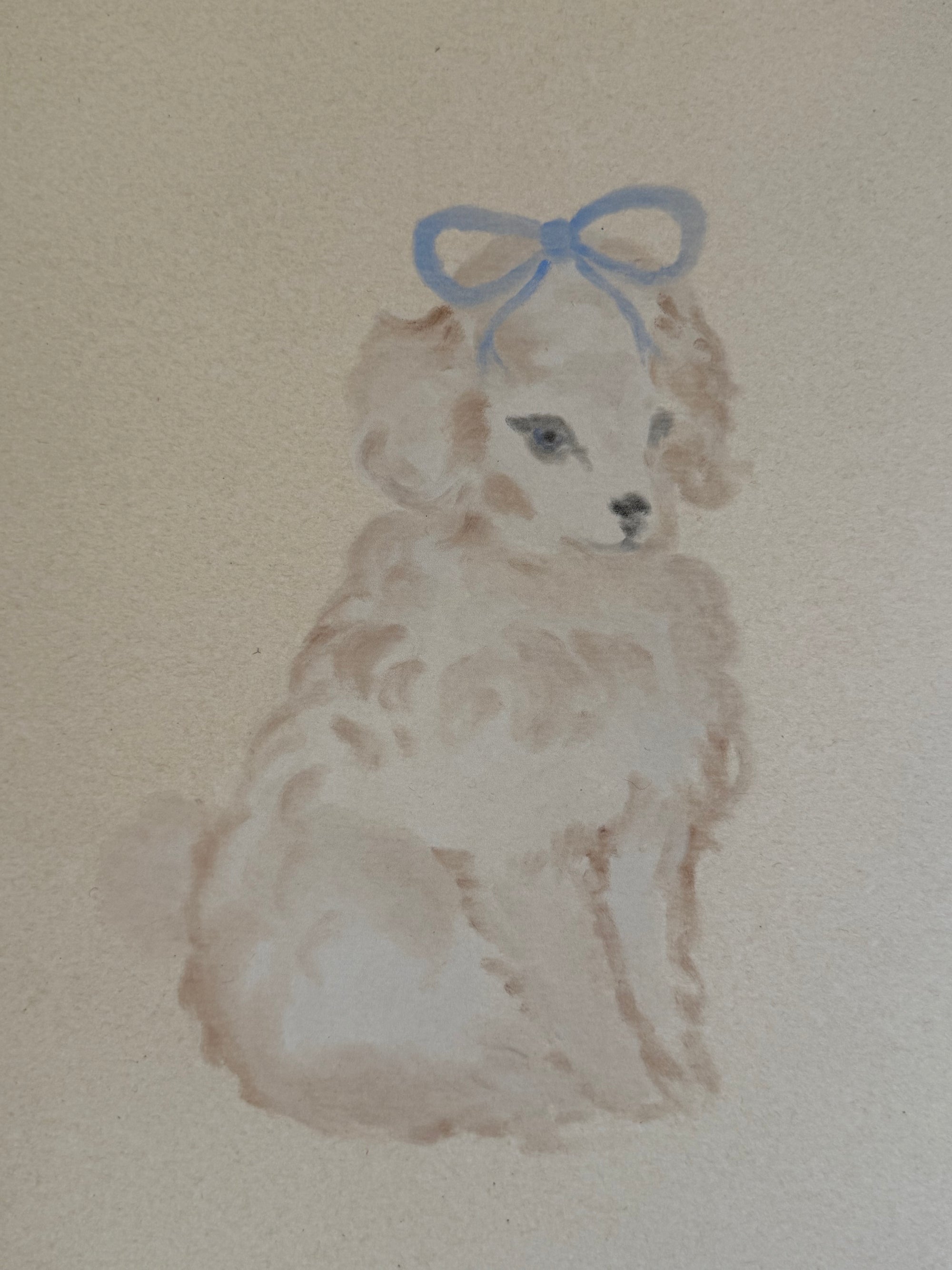 fancy puppy