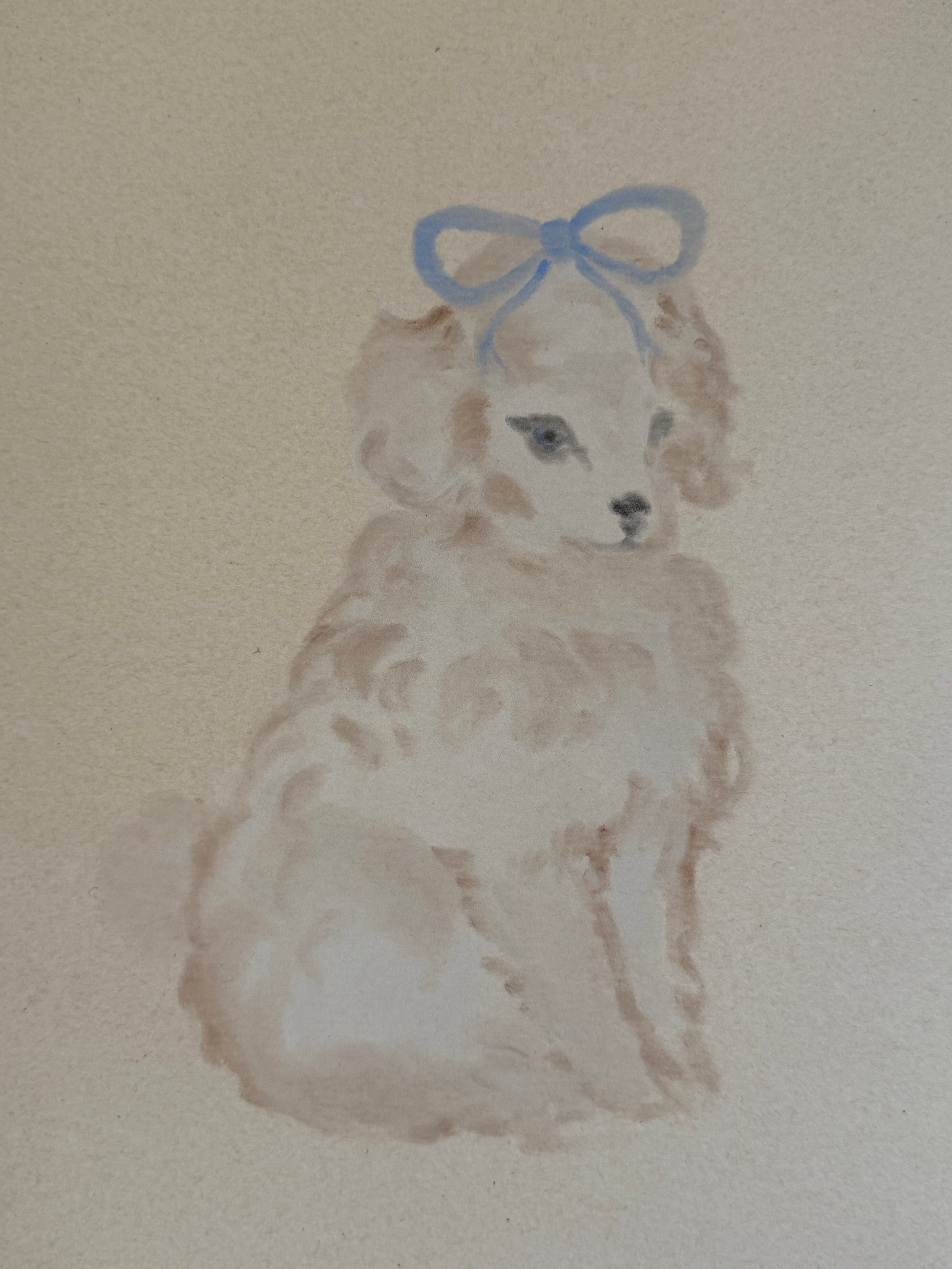 fancy puppy
