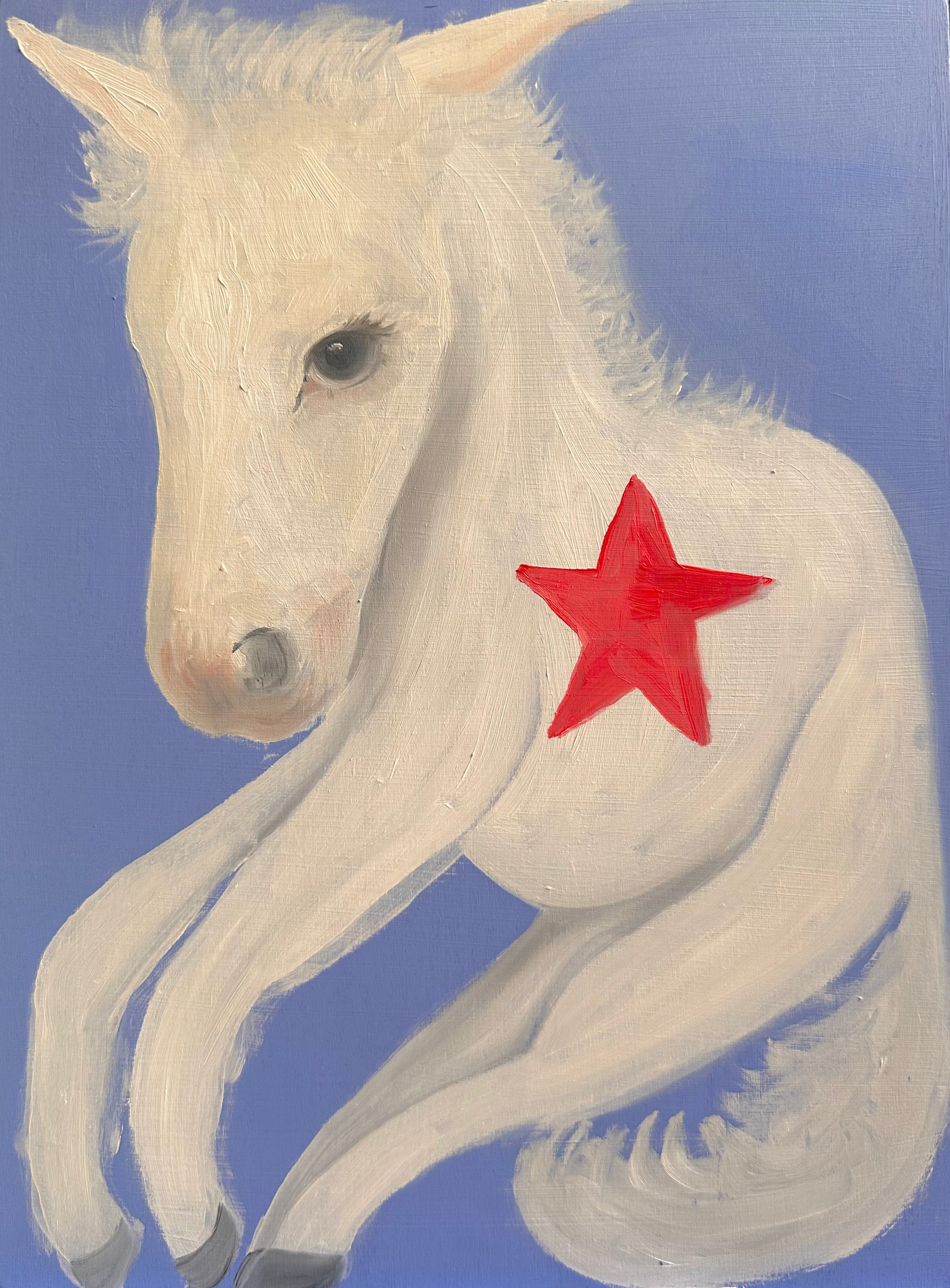 wonky pony 1