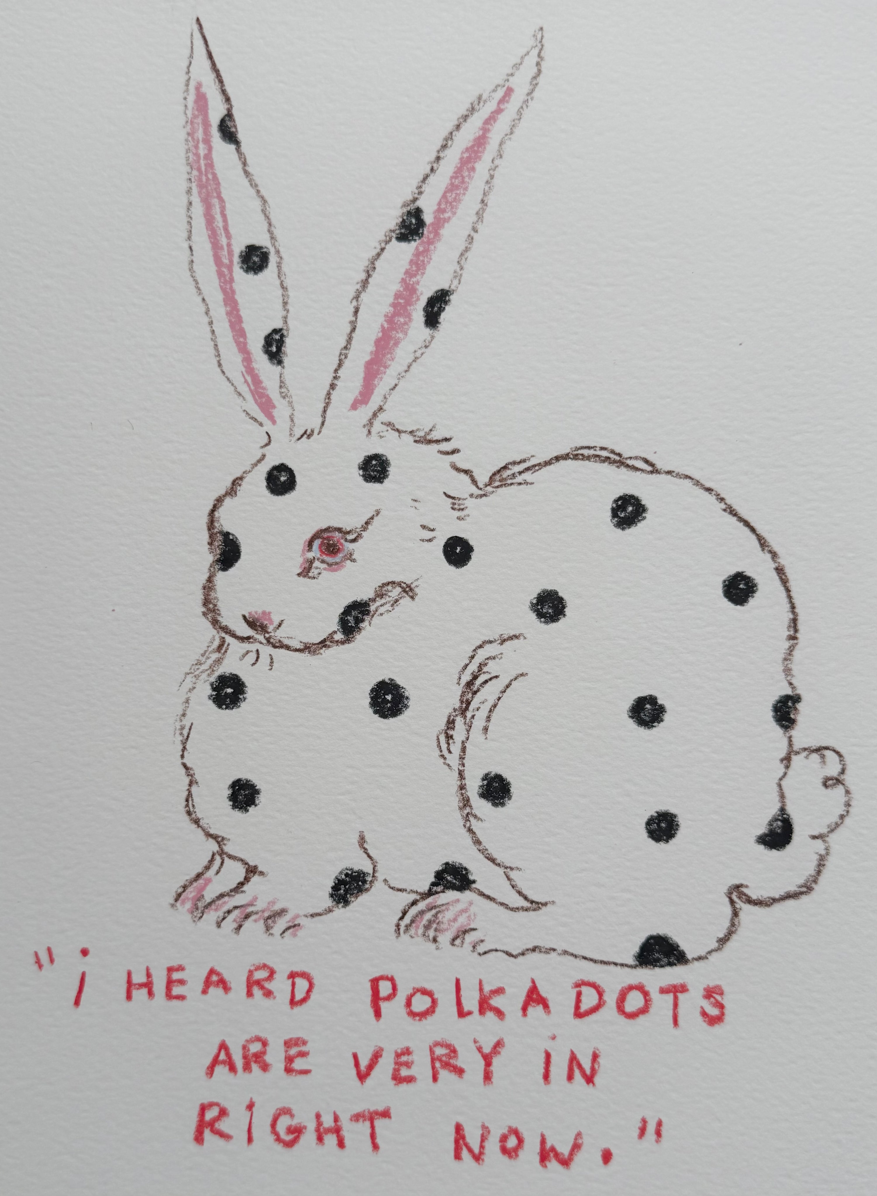 dot bun original