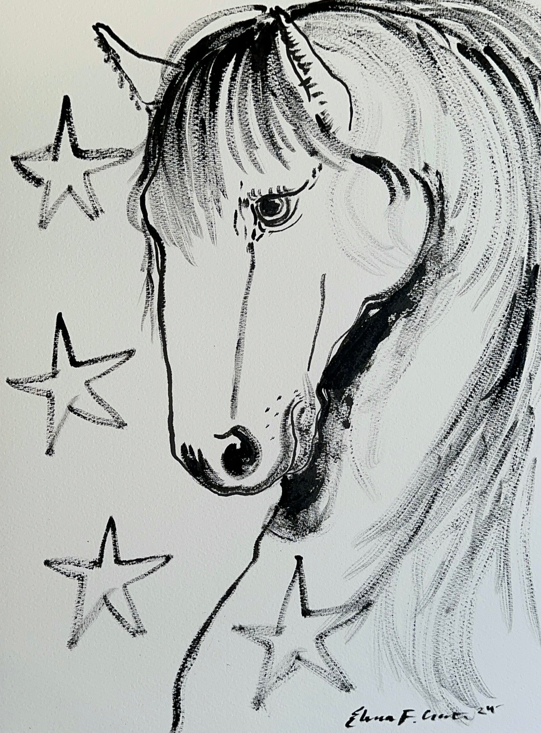 inky stallion