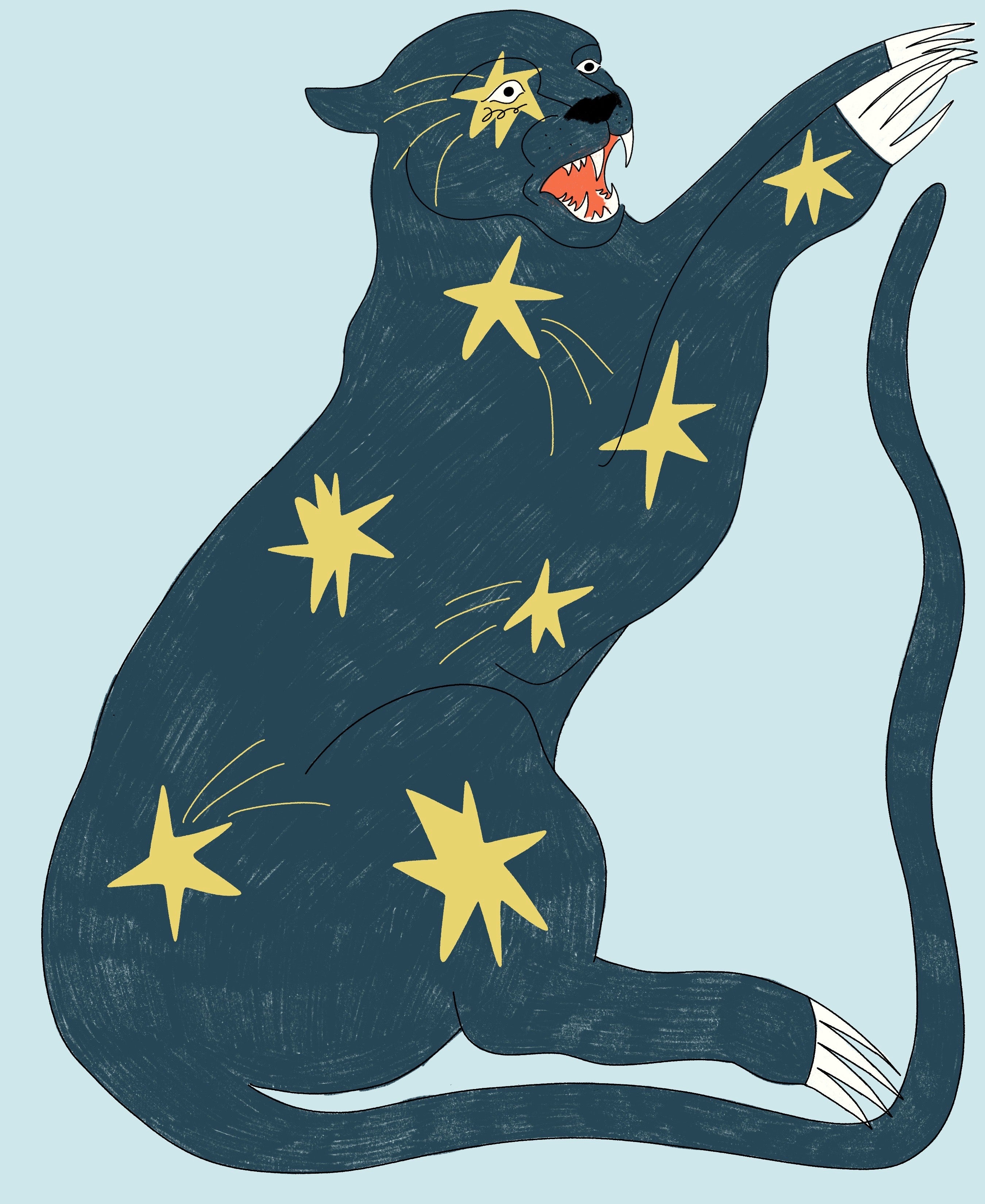 star panther