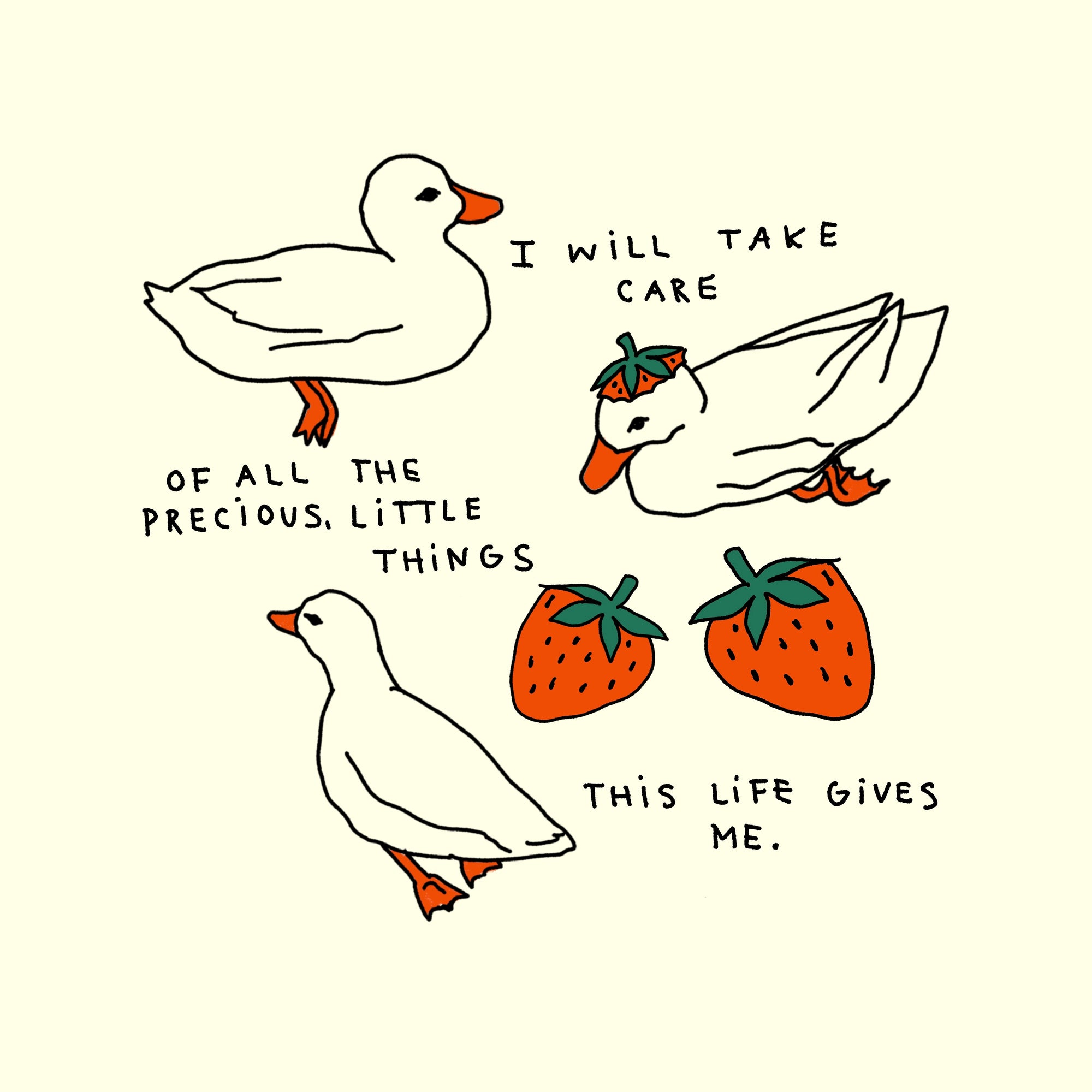 ducks and strawberries